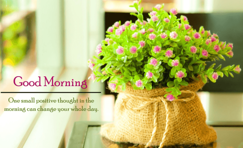 Best Good Morning HD Wallpapers