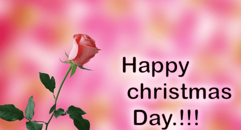 Happy Christmas Day Quotes