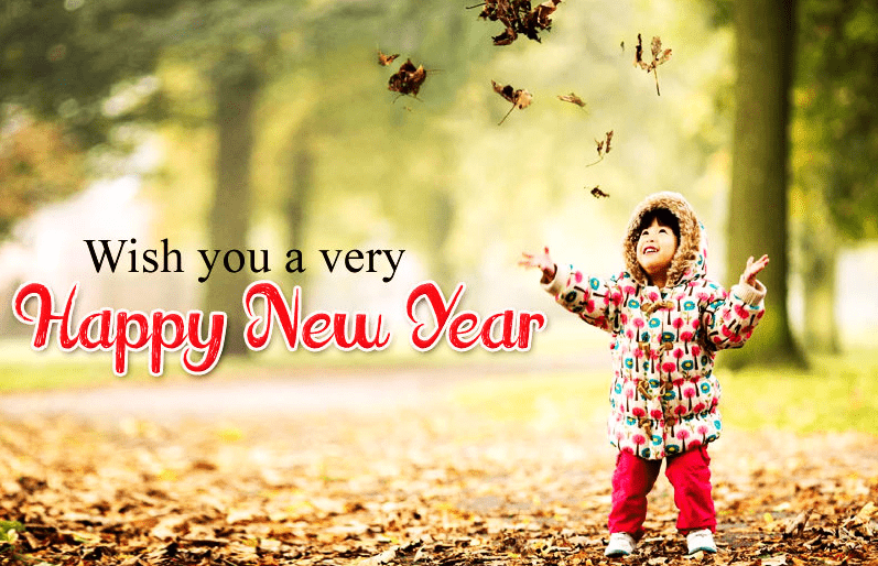 Wish You a Very Happy New Year 2019