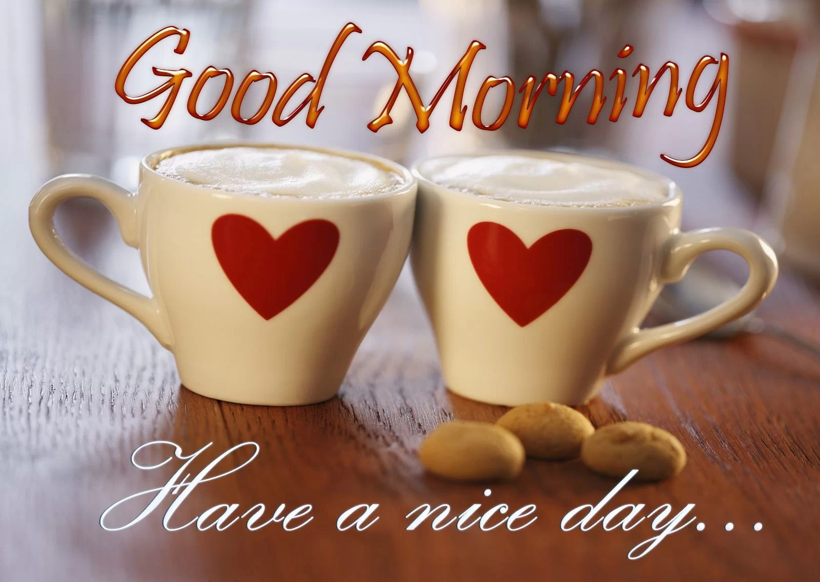 Good Morning Have a Nice Day Wallpapers