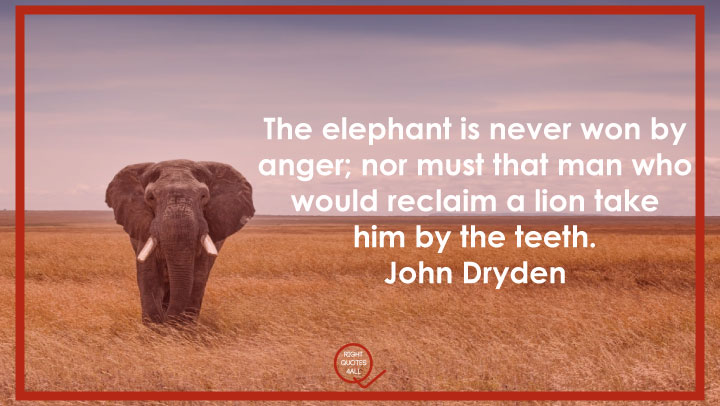 Elephant Quotes Images