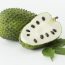 What is Soursop? | Health Benefits of Soursop